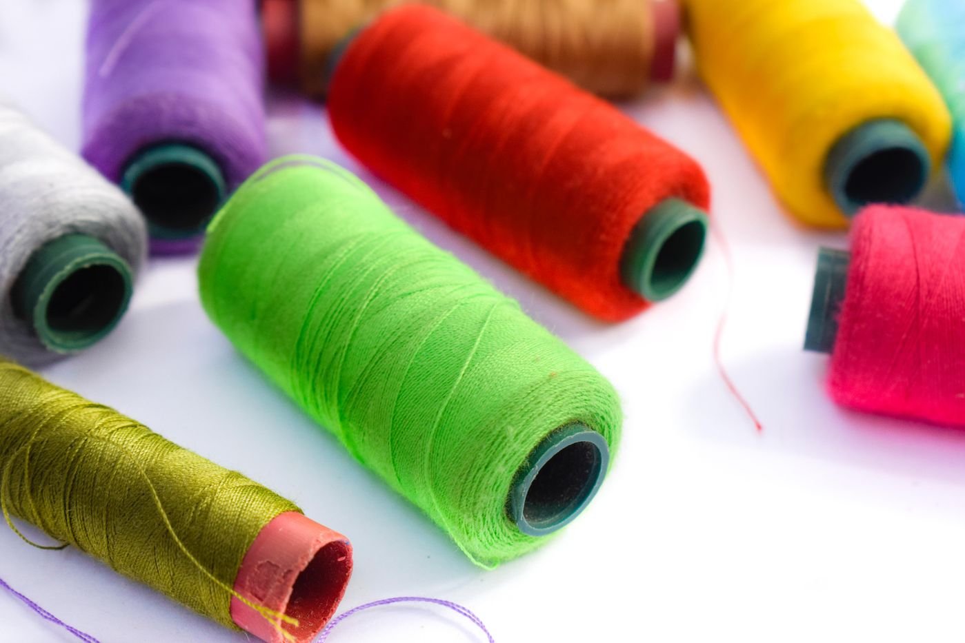 Taller de producción de Snugpooch